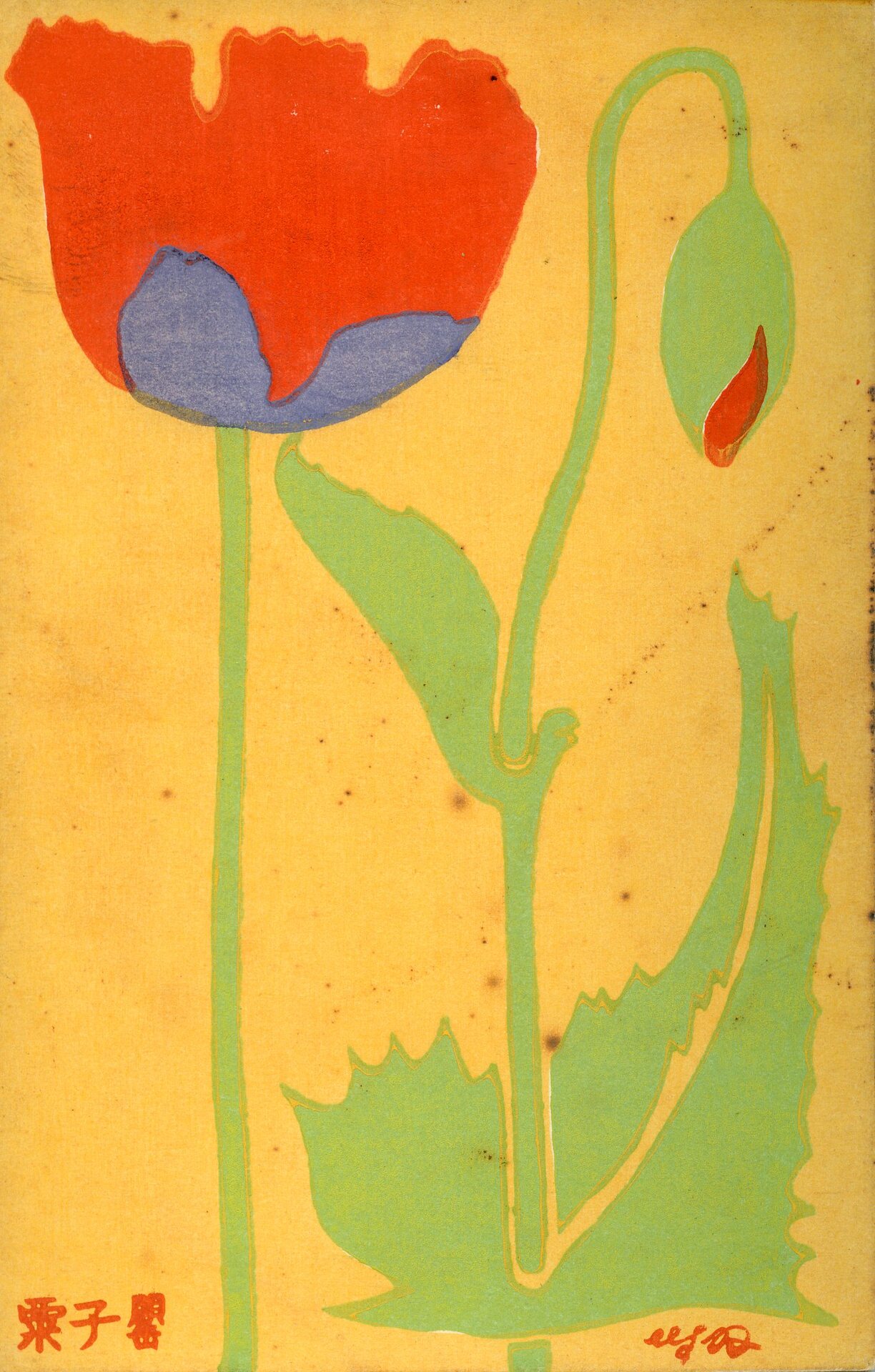 Poppies, picture postcard - National Crafts Museum
