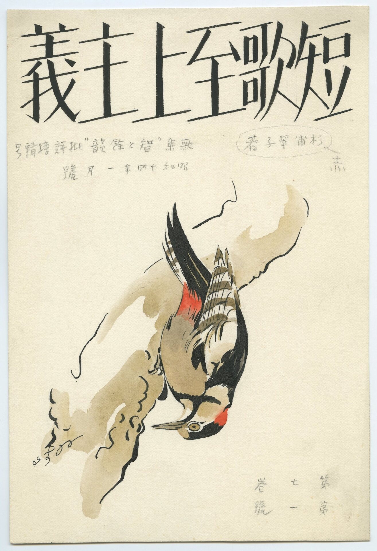 C9014013.jpg