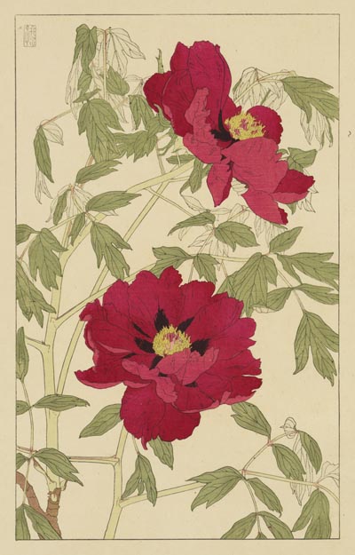 ぼたん（牡丹） - 国立工芸館
