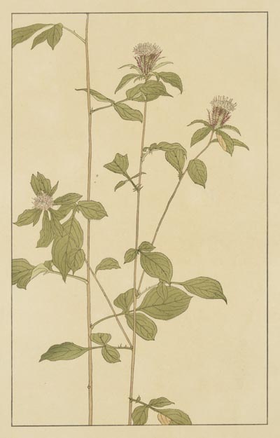 ‼️リサイクルFORTで検索‼️浮世絵の️傑作品‼️豊国作で印刷工芸品‼️現代建築に合う‼️ リサイクルFORTで検索‼️浮世絵の️傑作品‼️豊国作で印刷工芸品