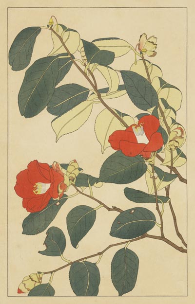 ☆杉浦 裕子【色絵椿文37cm大皿】共箱付き 2000年～2015年の個展