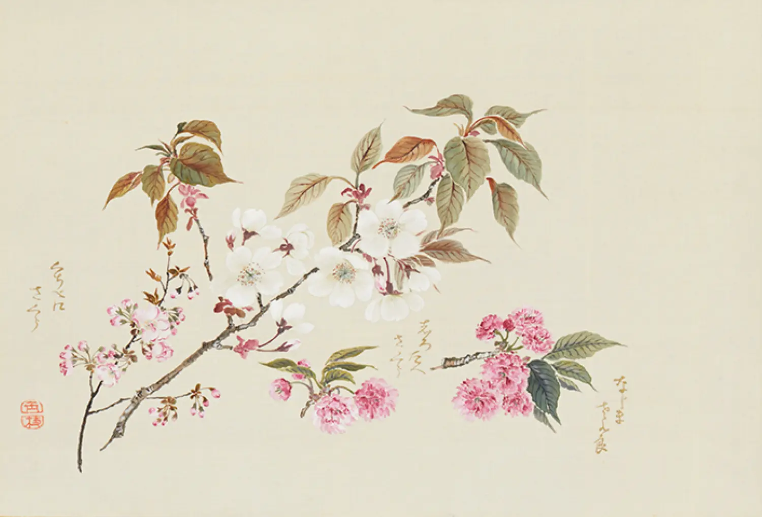 跡見玉枝《桜花図巻》（部分）画像