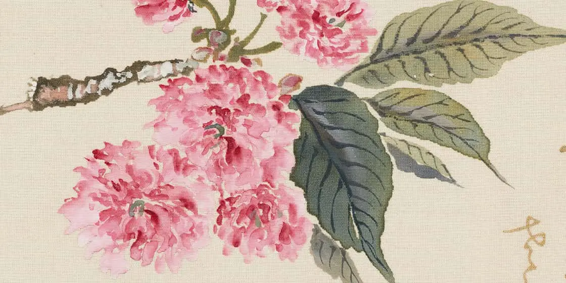 跡見玉枝《桜花図巻》（部分）画像