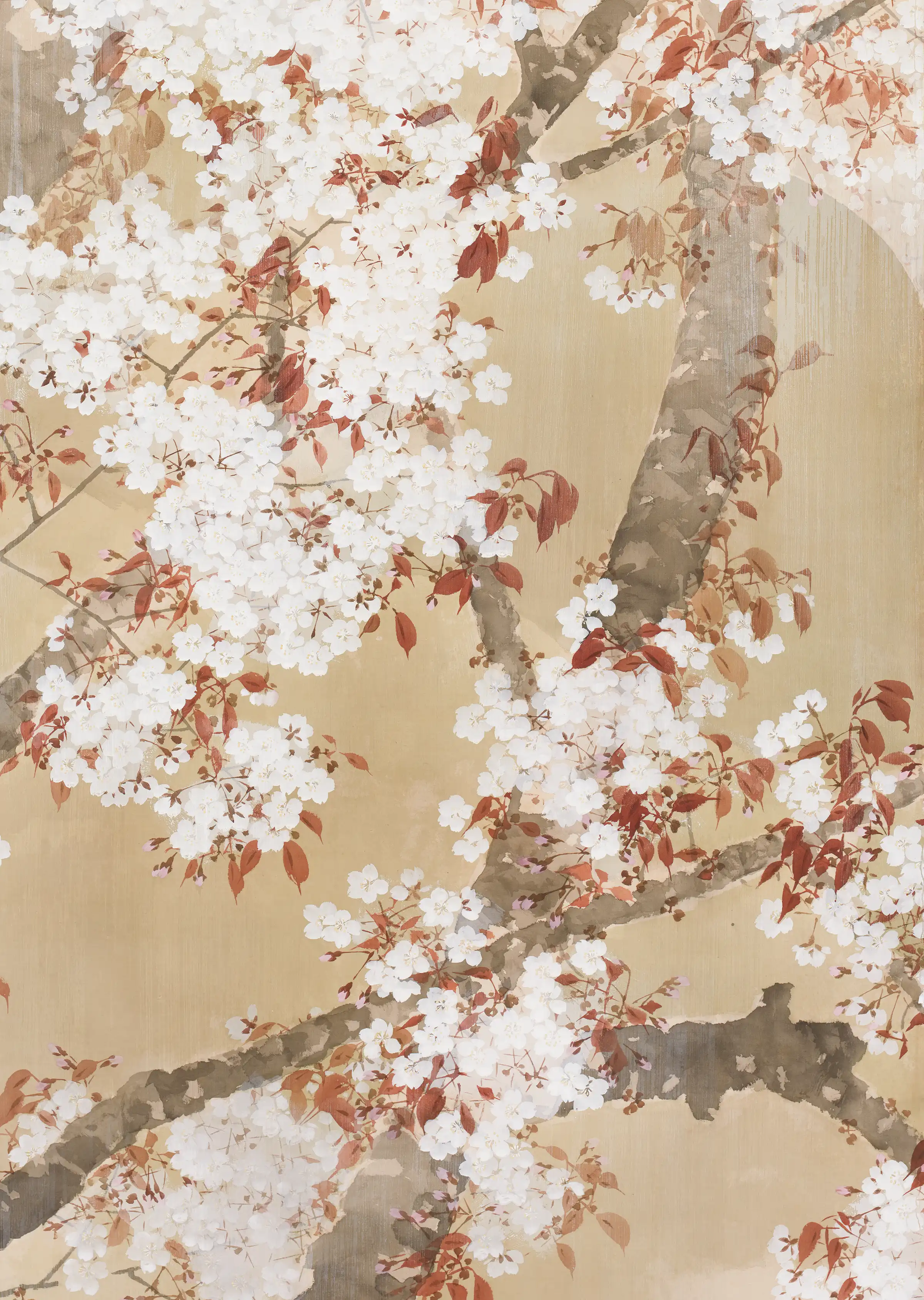 背景画像