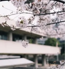 東京国立近代美術館の写真
