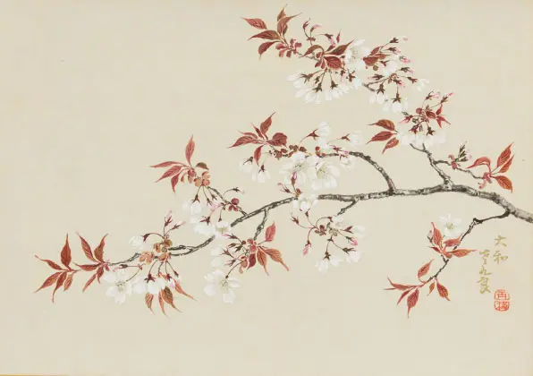 跡見玉枝《桜花図巻》(部分) 1934年 1