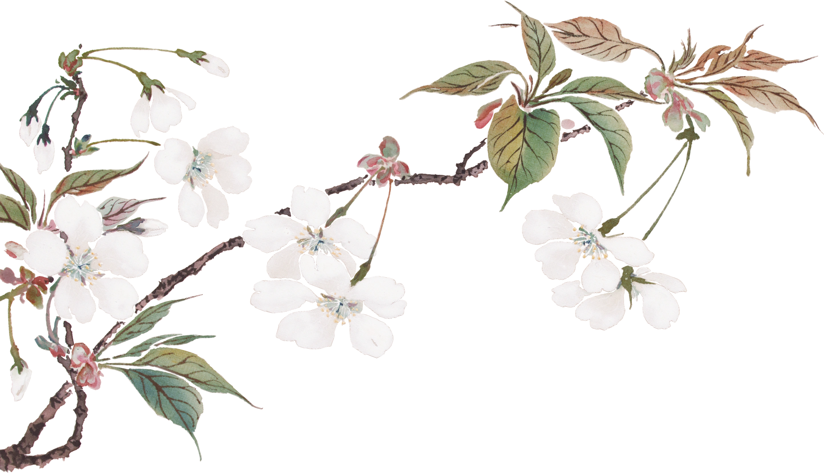 美術館の春まつり 2026 - 東京国立近代美術館