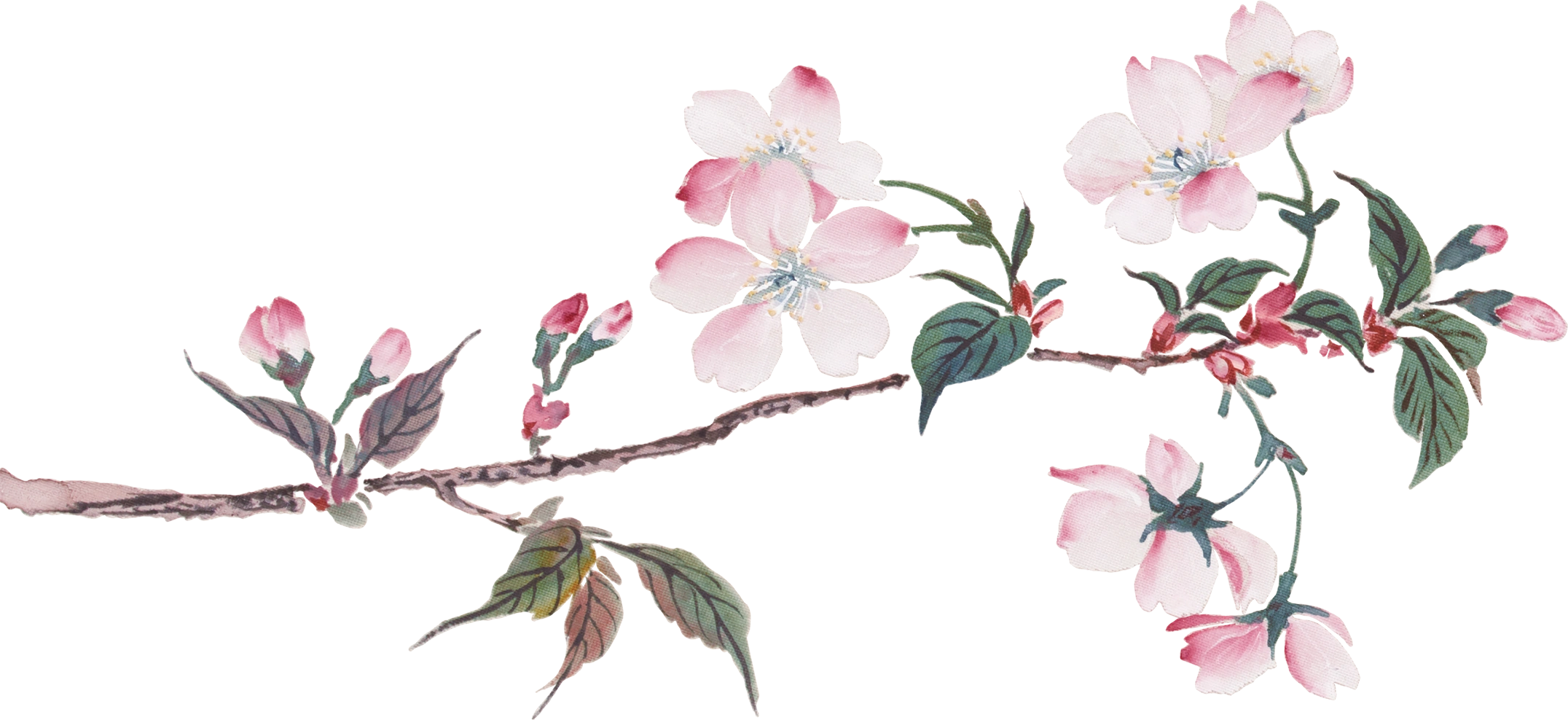 美術館の春まつり 2026 - 東京国立近代美術館