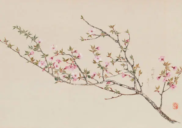 美術館の春まつり 2025 - 東京国立近代美術館