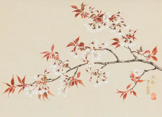 美術館の春まつり 2025 - 東京国立近代美術館