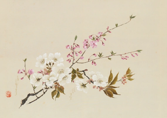  Atomi Gyokushi, Scroll of Cherry Blossoms, 1934