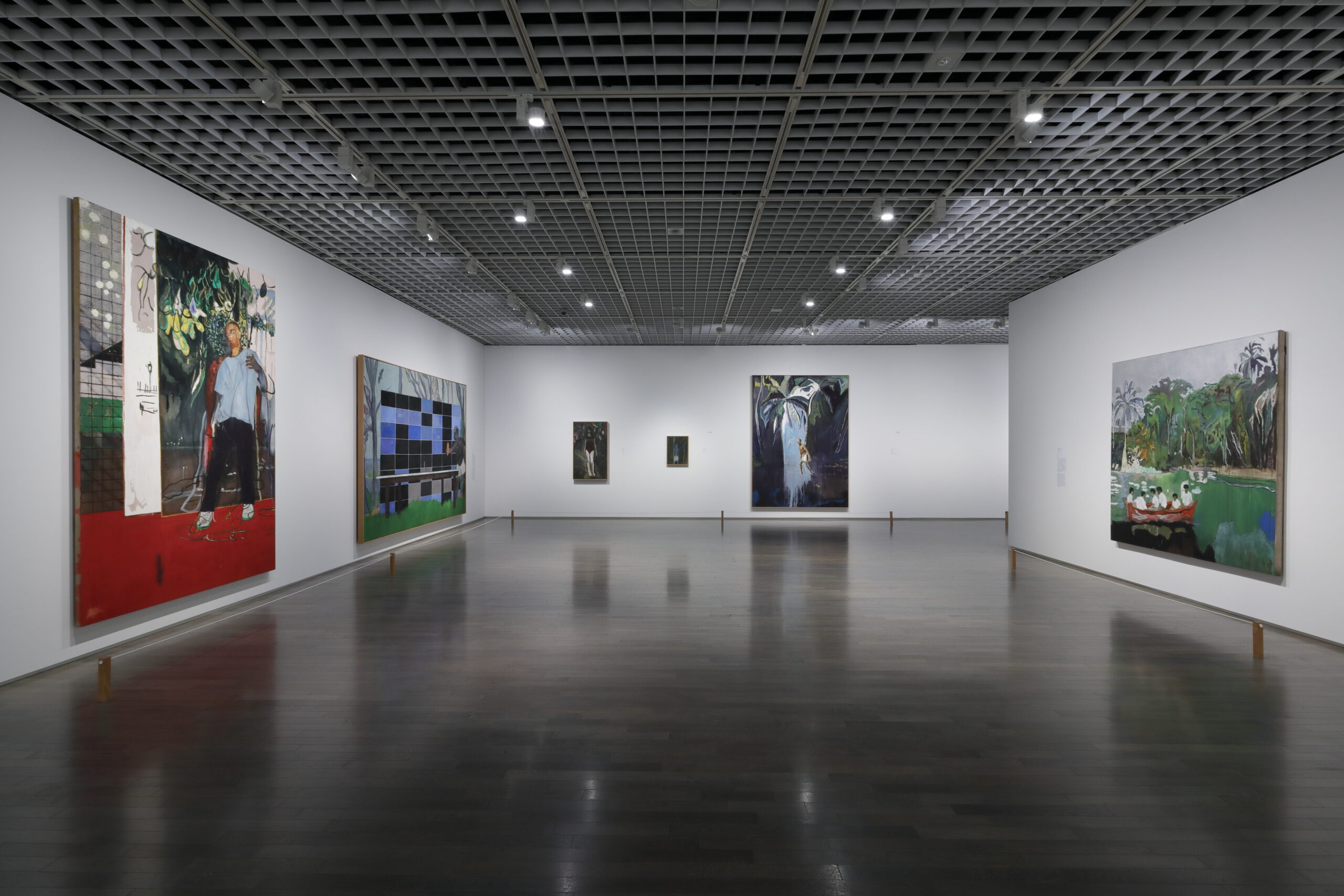 絵画の理由──ピーター・ドイグ展に寄せて - 東京国立近代美術館
