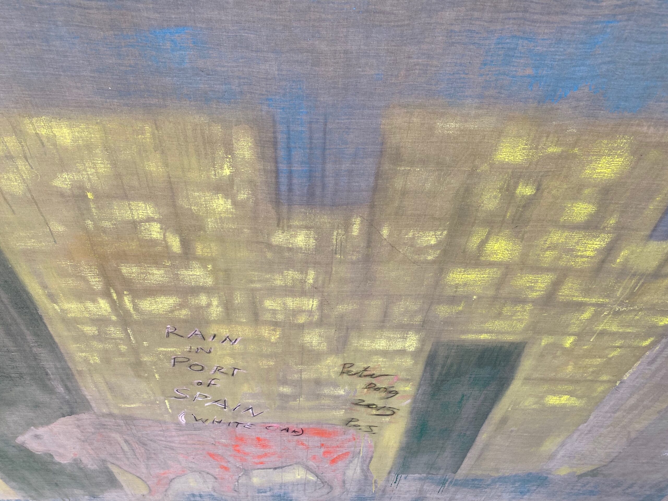 PETER DOIG ピーター・ドイグ 作品集 画集 具象画 オールカラー