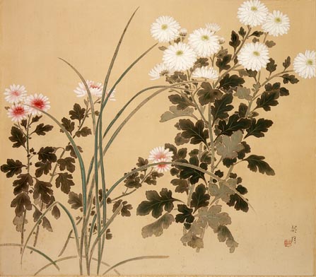 菊 - 東京国立近代美術館