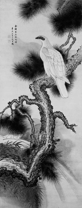 鷹と松　 Soga Chokuan (active circa 1596-1615), Hawk on a pine tree
