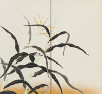 Images of the works : Indian Corn Plants