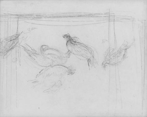 Sketch for Quails - 東京国立近代美術館