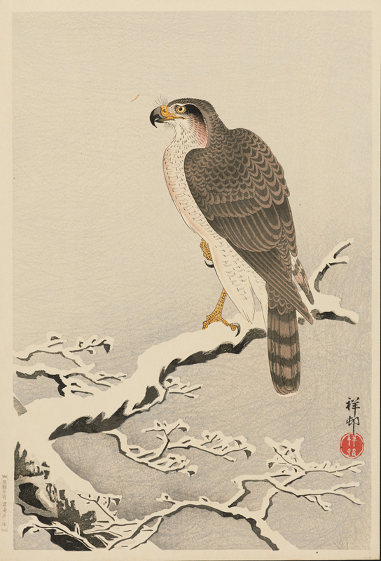 鷹] - 東京国立近代美術館