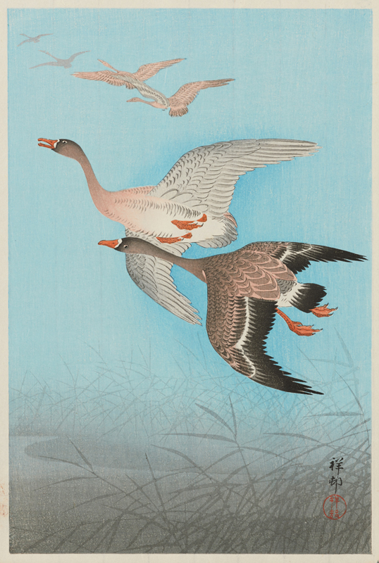 Wild Geese] - 東京国立近代美術館