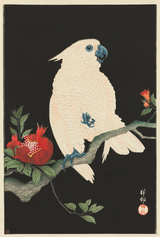 1点限り 小原古邨 祥邨 柘榴に鸚鵡 木版画 ざくろ ザクロ おうむ