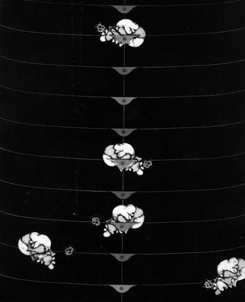 昆虫館 東京国立近代美術館