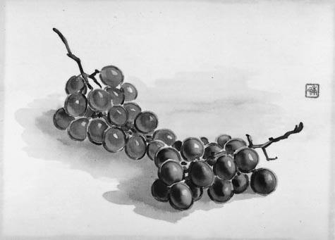 Drawing from the Modern 1975-2005 作品集 美品 Drawing from the Modern 1975-2005 作品集 美品 Drawing from