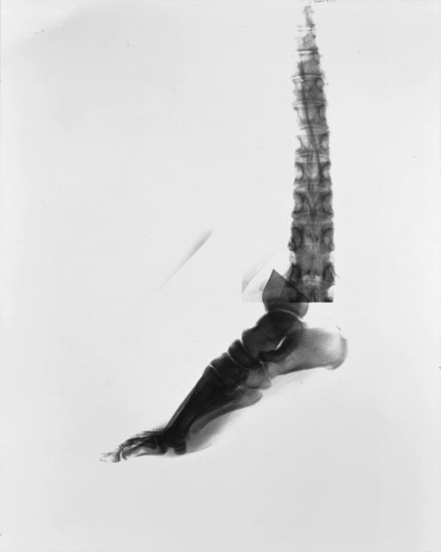 【 50%off】￥367,440➔￥183,720 柿の絵画 古賀 健吉／柿｜pictorial-0009 | Masako Kan｜マサコ館