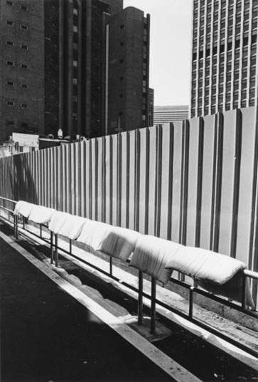 地方の美術の森から さぁ、森からはじまる未来へ 大阪・関西万博「住友館」出展記念