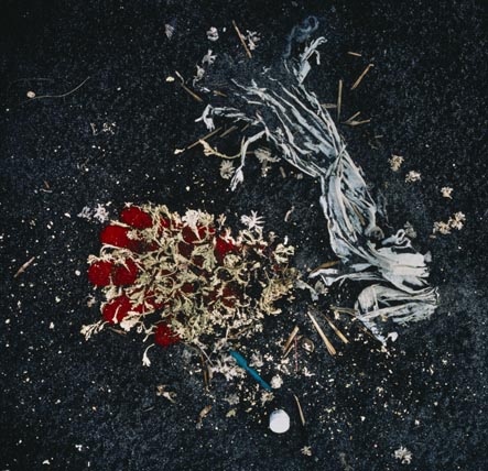 Plastics - 東京国立近代美術館