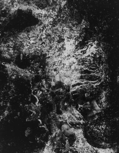 Ph1392_0001.jpg