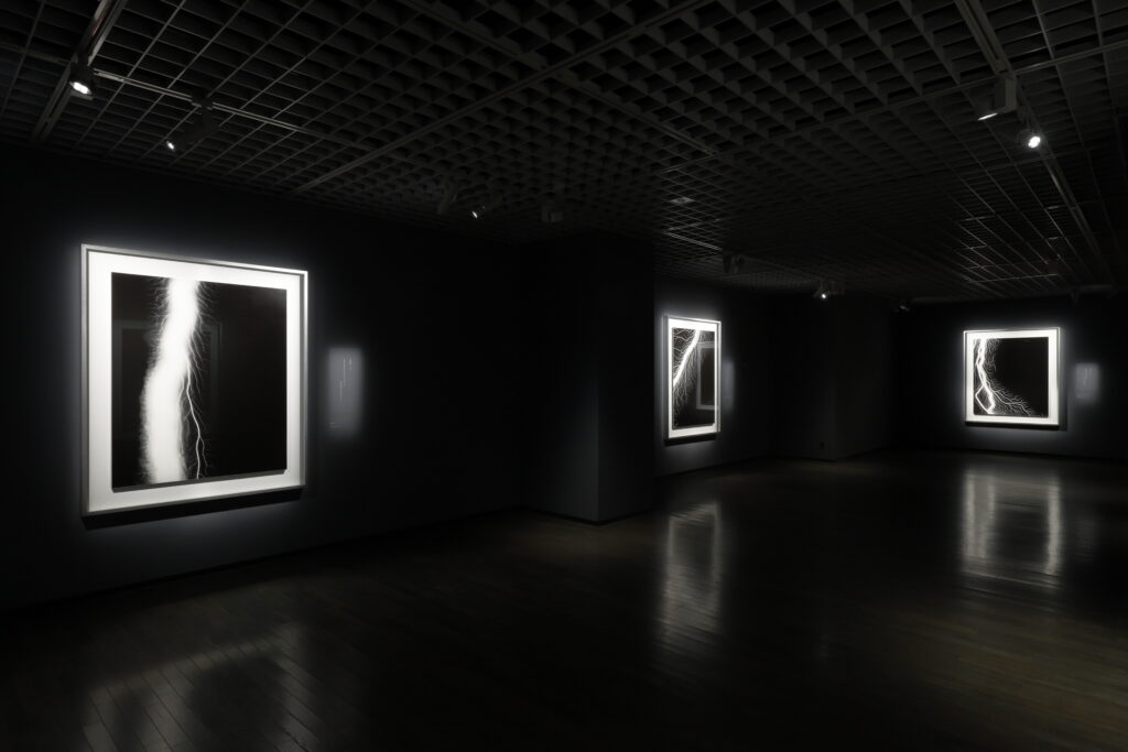 杉本博司 絶滅写真 - 東京国立近代美術館